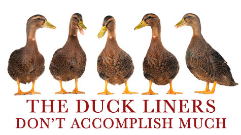 Only in photoshop will you ever get ducks to line up in a row