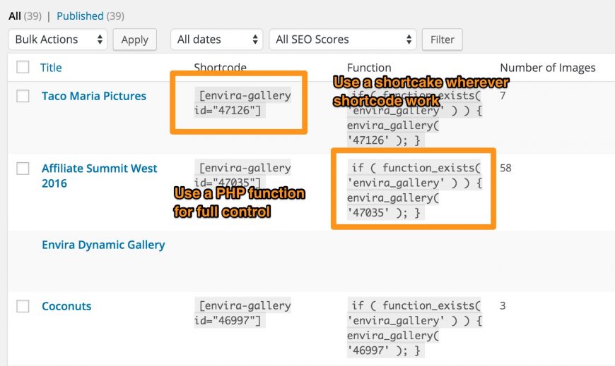 screenshot showing the php functions and shortcodes for Envira Gallery