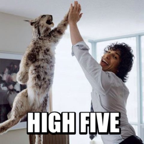 high-five