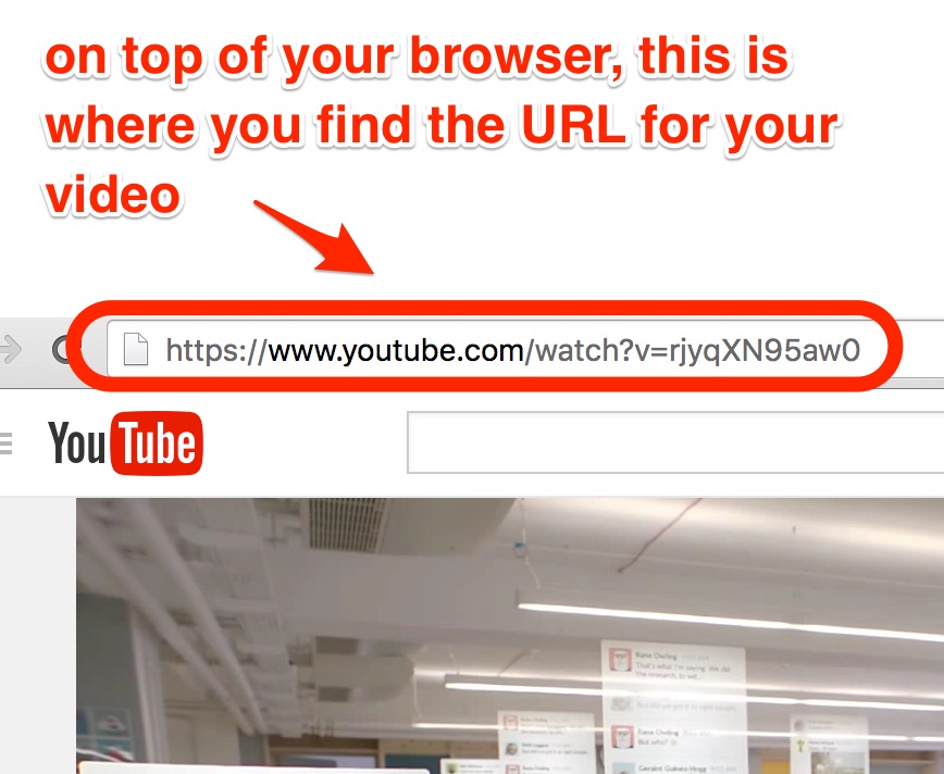 Screenshot higlhigts where a viewer finds the URL of a Youtube video