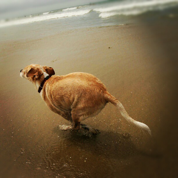 Running at the beach