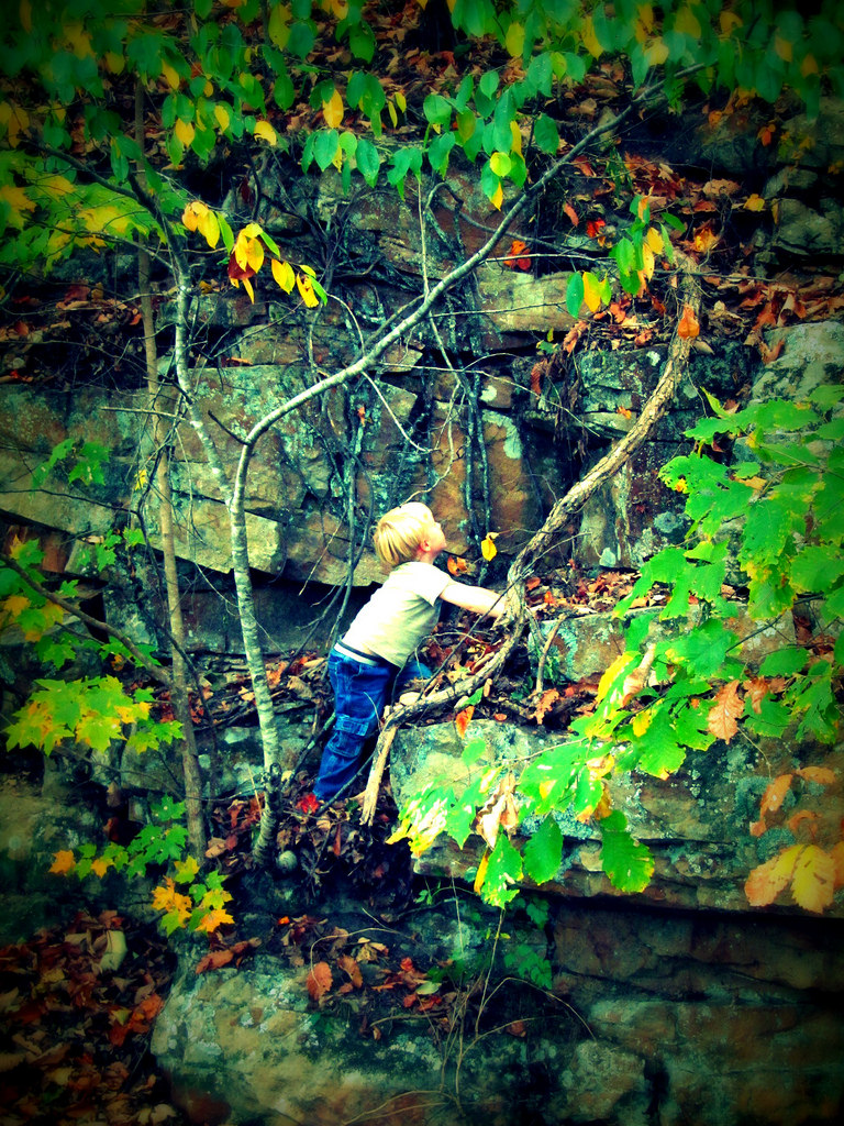 Photo of a fearless child about to climb a vine