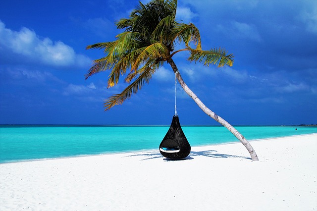 A scenic picture of a napping cocoon hanging from a palm tree by the shoreline of a paradise beach.