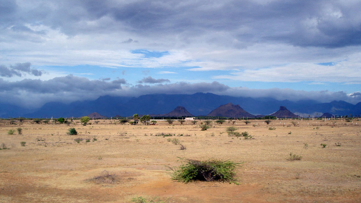 google-picking-out-the-best-from-the-barren-wasteland-that-is-google