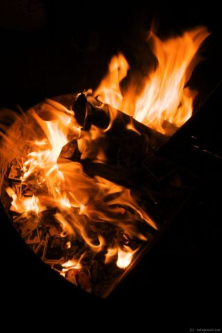 Burning baseball cards