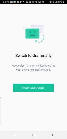 Screenshot showing the "Switch to Grammarly" option. This enables and uses the keyboard for your device.