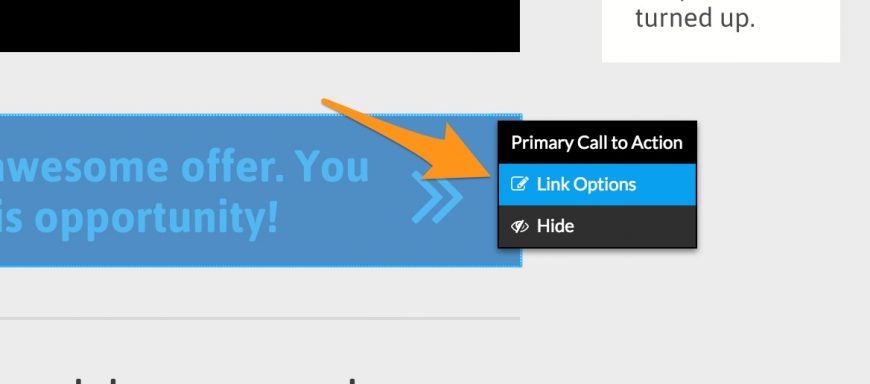 link options screenshot in leadpages