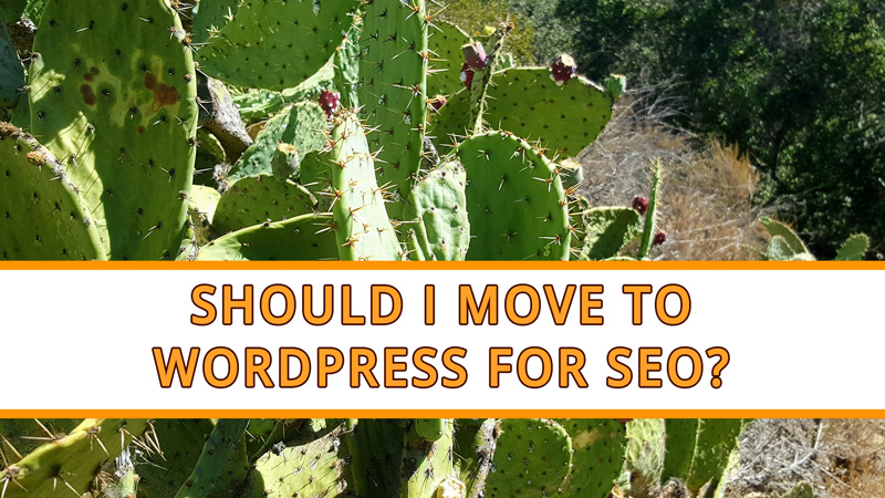 Should I Move to WordPress for SEO Reasons?